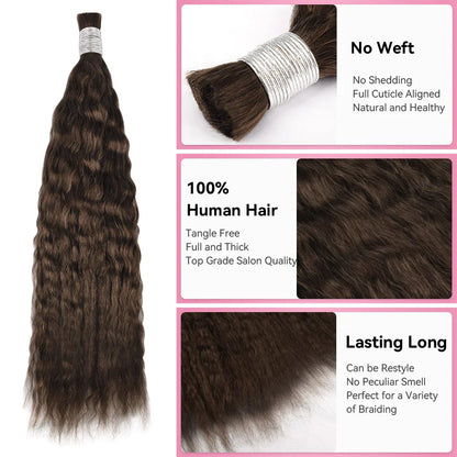 #2 Hot Braids Bulk Human Hair Wet & Wavy CVOHAIR