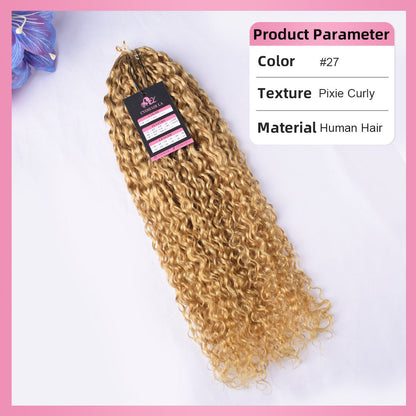 #27 Pixie Curly 100% Human Hair Hair Extensions CVOHAIR