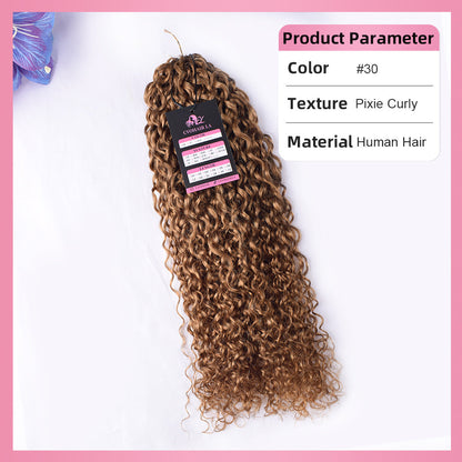 #30 Pixie Curly 100% Human Hair Hair Extensions CVOHAIR