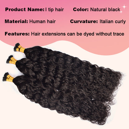 Italian Curly I Tip Free Shipping Hair Extensions 100% Real Human Hair 100g CVOHAIR
