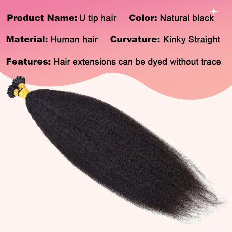 Kinky Straight U-Tip Hair Extensions Free Shipping 100% Real Human Hair 100g CVOHAIR