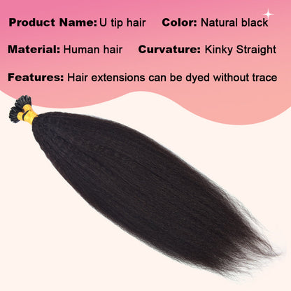 Kinky Straight U-Tip Hair Extensions Free Shipping 100% Real Human Hair 100g CVOHAIR