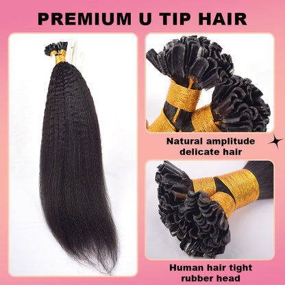 Kinky Straight U-Tip Hair Extensions Free Shipping 100% Real Human Hair 100g CVOHAIR