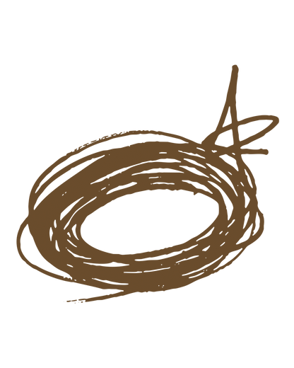 Brow MVP Ultra Fine Brow Pencil & Styler ¡ª Medium Brown