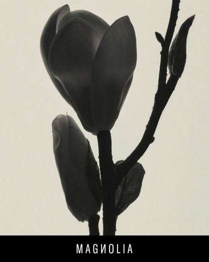 Fenty Eau De Parfum Travel Set + Refills