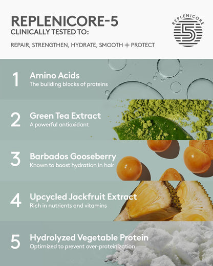 Moisture Repair the Maintenance Crew Full-Size Bundle